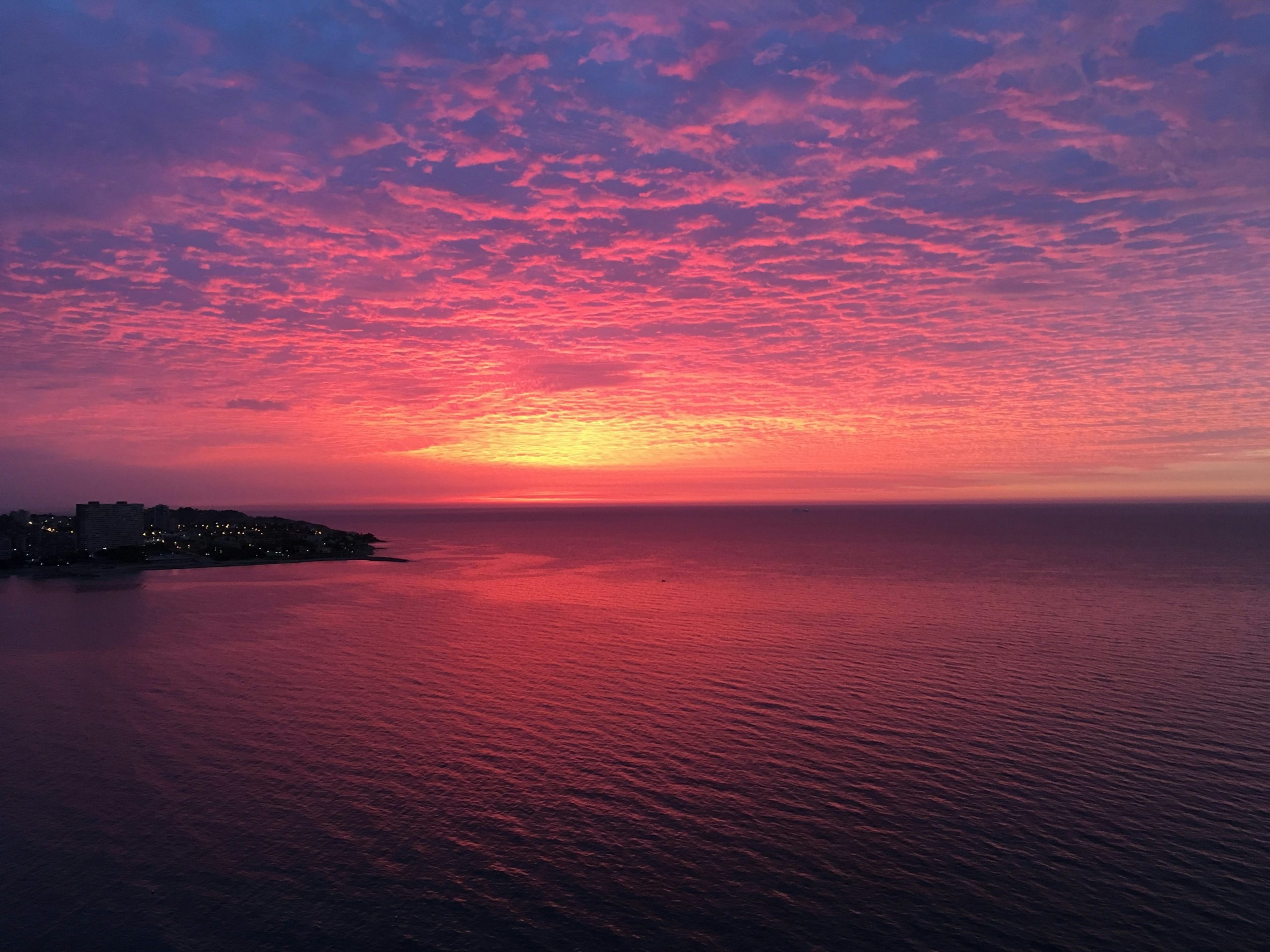 『藍を継ぐ海』イメージ画像